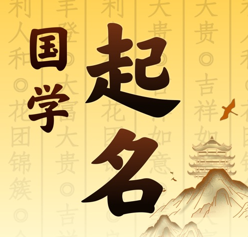 阳明国学起名 人工起名一对一